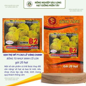 (Gói 20 hạt) Hạt Giống Hoa Vạn Thọ SUPER B2 CAO LỠ - VÀNG CHANH - ( bông to - nhuỵ xanh - cổ lùn ) - RỒNG VÀNG