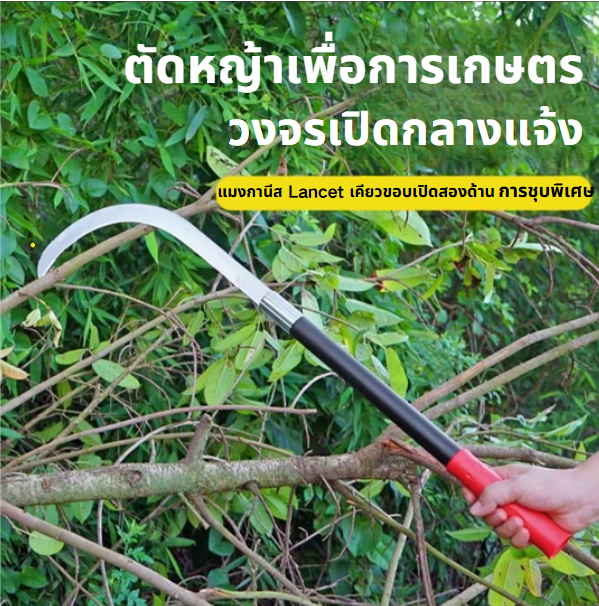 เคียวด้ามยาว 60 ซม. เหล็กแมงกานีสแท้ น้ำหนักเบา