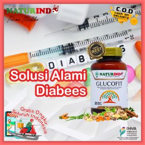 Obat Diabetes Penurun Gula Darah Herbal Diabet Glucofit Naturindo BPOM Halal