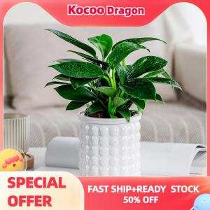 Kocoo Mini Self Watering Flower Pot Fish Tank Transparent Plastic Plant Pots Self Watering Planter Pot Vase For Home Decoration