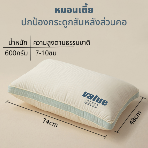 FROSTCOVE หมอนหนุน คุณภาพเกรดโรงแรม ขนาด 19x29 นิ้ว ป้องกันไรฝุ่น เพื่อสุขภาพที่ดี มีเเบบนอนเตี้ย กลาง สูง