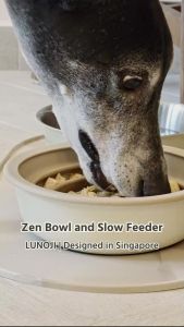 Slow Feeder Bowl: Improve Digestion Food-Grade Silicone Easy Clean Anti-Slip Hygienic Dogs and Cats