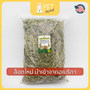 หญ้าอัลฟาฟ่า 400 กรัม by pet premium หญ้ากระต่าย หนูแกสบี้ แฮมเสตอร์ เฟอร์เรท ชินชิล่า แพรี่ด๊อก เต่าบก