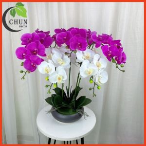 Chậu lan giả chậu lan hồ điệp cao 60cm tán tròn 360 độ trang trí nhà cửa cửa hàng văn phòng lớp học