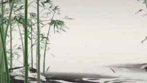 20PCS Upgrade Foot Pads 2-in-1 Natural Bamboo Vinegar Ginger Powder Foot Pads