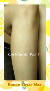 Pencabut bulu / HONEY SUGAR WAXSIM / SUGARWAX BY EPPLE