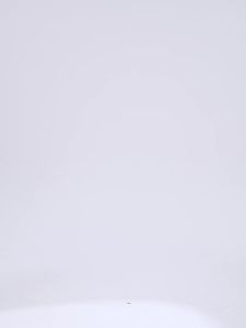 sccming Quần yoga Pilates mùa hè cao cấp nâng hông cảm giác trần định hình quần năm điểm quần thể thao ngoài trời cho phụ nữ