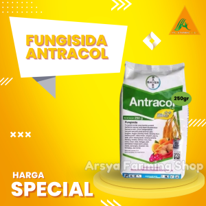 Bayer Antracol 70WP 250 Gram Fungisida Pembasmi Jamur Tanaman