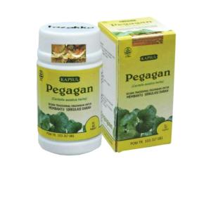 Kapsul Pegagan Tazakka Suplemen Otak Smart Brain Original 60 kapsul