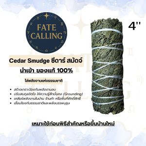 Cedar Smudge ซีดาร์ สมัดจ์ - โล่พลังงานแห่งธรรมชาติ ปรับสมดุลจิตใจ ให้ความรู้สึกมั่นคง