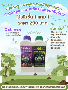 ราคาพิเศษชุด 1 แถม 1 (ปุ๋ยธาตุรวม VAMAX+CABMAXแคลเซียมโบรอน) ราคาโรงงาน