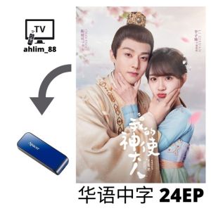 USB China Drama 2024 古装大陆剧 3 in 1 我的神使大人 + 披荆斩棘的大小姐 + 永安梦 华语中字