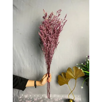 Caspea Flower Kering Import Natural Bunga Kering Lovergrass