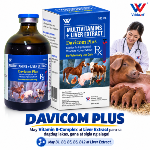 Davicom Plus Multivitamins + Liver Extract  for Veterinary Use Davicom b complex vitamin b complex for chicken