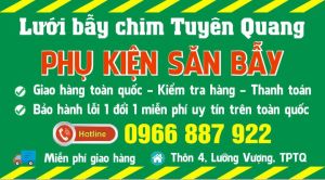 Thòng bẫy chim chàng ngịch. thòng bẫy 10 khung