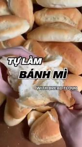 (Loại 100g) Men Khô Nở làm bánh mì pizza bông lan StFood - giá siêu hời