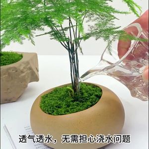 WH Artificial Moss Lawn Carpet Fake Green Plants Faux Simulation Moss Grass For DIY Home Wall Floor Patio Landscape Decoration