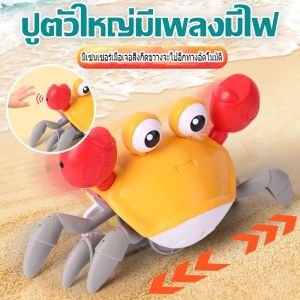 Xmas ปูเต้น กลยุทธ์ปูใส่ถ่าน กลยุทธ์ปูเดินได้ มีเสียงจังหวะดนตรี มีไฟ ถ้าต้อง เพียงตบมือ  มีเซนเซอร์เมื่อเจอสิ่งกีดขวางจะไปอีกทางอัตโนมัติ