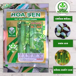 (Gói 10gr) Hạt Giống Dưa Leo Ưu Thế Lai F1 VL-647 HOA SEN