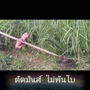 ใบมีดตัดหญ้ากระทิงตัดเตียน ชุดใหญ่ ของแท้