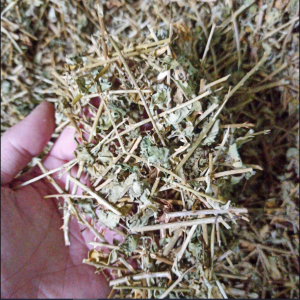 1kg Cà gai leo khô 1kg trà cà gai leo thanh nhiệt mát gan giải độc tốt cho sức khỏe
