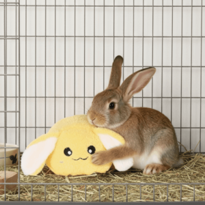 HIV00 Simulated Buttocks Rabbit Soothing Ball Comfortable Bite Resistant Pet Chewable Ball Pet Sniffing Ball Plush Hamster Venting Ball Small Animal