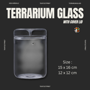 Glass terrarium jar with lid - 12cm/15cm sizes for isopods moss and terrarium