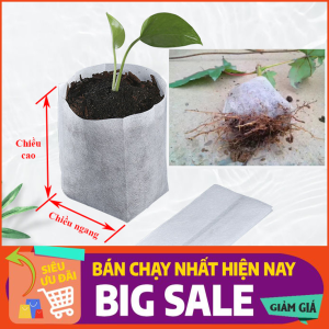 Túi ươm cây giống tự phân huỷ chất liệu vải không dệt thế hệ mới thúc nhanh nẩy mầm của hạt phát triển của dễ