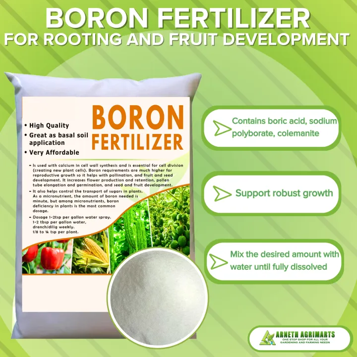 BORON FERTILIZER for rooting and fruit development