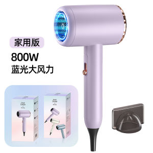 AE Manufacturers new hair dryer Household appliances large and small power hair dryers Internet-famous hammer hair dryer gift