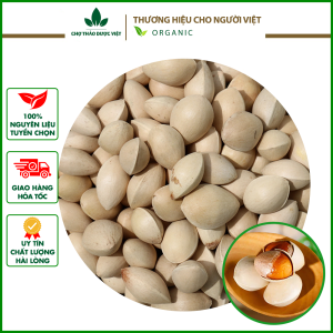 Bạch quả khô 1kg hạt to nấu chè hầm gà hỗ trợ tim mạch tăng tuần hoàn máu giảm căng thẳng