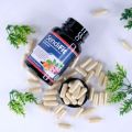 Obat Atasi Sakit Pinggang Kecetit, Obat Syaraf Tulang Ekor Kejepit, Obat Saraf Kejepit, Obat Sakit Tulang Ekor, Cedera Tulang Ekor, Obat Sakit Pinggang, Obat Nucleus Pulposus (HNP) Dengan SendiFit. 