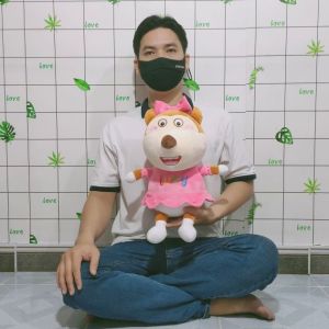Gấu Wolfoo & Lucy vải Miniso hoạt hình gia đình sói Wolfoo & Lucy chính hãng mềm mịn 100% gòn mềm  - sản phẩm như hình