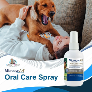 [New Launch] MicrocynAH Wound and Skin Care for Pets in All Life Stages | Skin Spray Ear Wash Eye Wash Recovery Gel