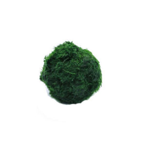 [Alex Do] Hot Sale 3-4cm Marimo Moss Balls Live Aquarium Plant Algae Fish Shrimp Tank Ornament Simulation Green Algae Balls Artificial Plant