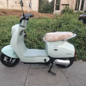 Sepeda Listrik Pacific CAMERON PRO Mesin HUB Motor Bafang 650W Battery Kering 48V 20Ah