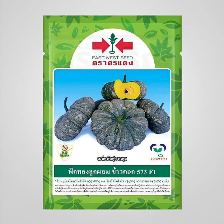 เมล็ดฟักทอง ข้าวตอก 573 F1 ตราศรแดง ติดผลดก รสชาติดี