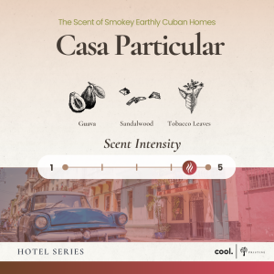 Pristine Reed Diffuser | Hotel Series | Essential Oil | Fragrance Diffuser for Toilet | 50ml | Aroma Gift Decorations