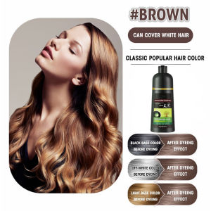 【BUY 1 TAKE 1】500ml Black Hair Shampoo Herbal Hair Dye Shampoo White into Black/Brown in 5 Minutes No Irritable Odor Hair Color Shampoo