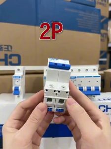 CHINT Electric Circuit Breaker NXB-C63/2P (Factory direct sales)