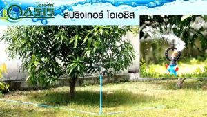 สปริงเกอร์ใบพัด ใส่ได้ทั้งเกลียวใน 1/2"และ 3/4" แพ็ค 30 ชิ้น ร้ายพรเกษตร