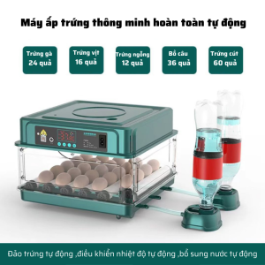 Máy ấp trứng gà thông minh máy ấp trứng mini tự động máy ấp hoàn toàn thế hệ mới