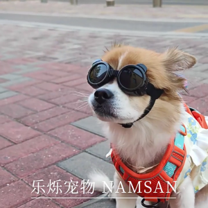 Dog Goggles for Medium Small Dog Waterproof Dog Sunglasses Windproof Goggles Adjust Pet Goggles