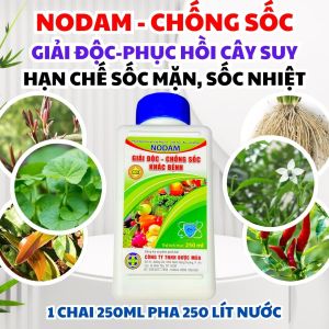 Phân Bón Lá Nodam 250ml phục hồi cây bị suy cây bị sốc nước cây bị sốc mặn giải độc cho cây trồng phục hồi cây sau bệnh phục hồi cây sau khảm virus chống stress cây trồng