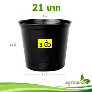 กระถางปลูกต้นไม้ กระถางต้นไม้ กระถางต้นไม้พลาสติก 5 นิ้ว เบอร์ 8 12 นิ้ว 7.5 นิ้ว 5.5 นิ้ว 9 นิ้ว 2.5 นิ้ว 15 นิ้ว กระถางดำ สีดำ กระบองเพชร 17 นิ้ว 6 นิ้ว 3 นิ้ว กว้างจริง 5.7 นิ้ว 4 นิ้ว 10 นิ้ว