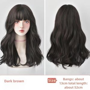 Brown/Black Curly Wig 52CM Full Head Cover Long Hair WIg Wig Big Wave Natural Fluffy Wig Medium Long Hair Extensions with Breathable Hair Net