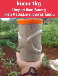 Kucur Mantul: Rahasia Sering Strike Umpan Baung