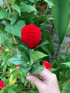 Hộp nhẫn cưới cầu hôn hoa hồng