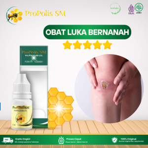 Obat Luka Bernanah Obat Luka Bernanah Dan Bengkak Obat Tetes Luka Di Kulit Obat Luka Borok Bernanah Obat Bisul Bernanah Obat Luka Infeksi Di Kulit Obat Bisul Bernanah Dengan Propolis SM