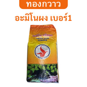 อะมิโนผง เบอร์1 ตรา ทองกวาว 20 Kg. ละลายน้ำได้ สกัดเข้มข้น